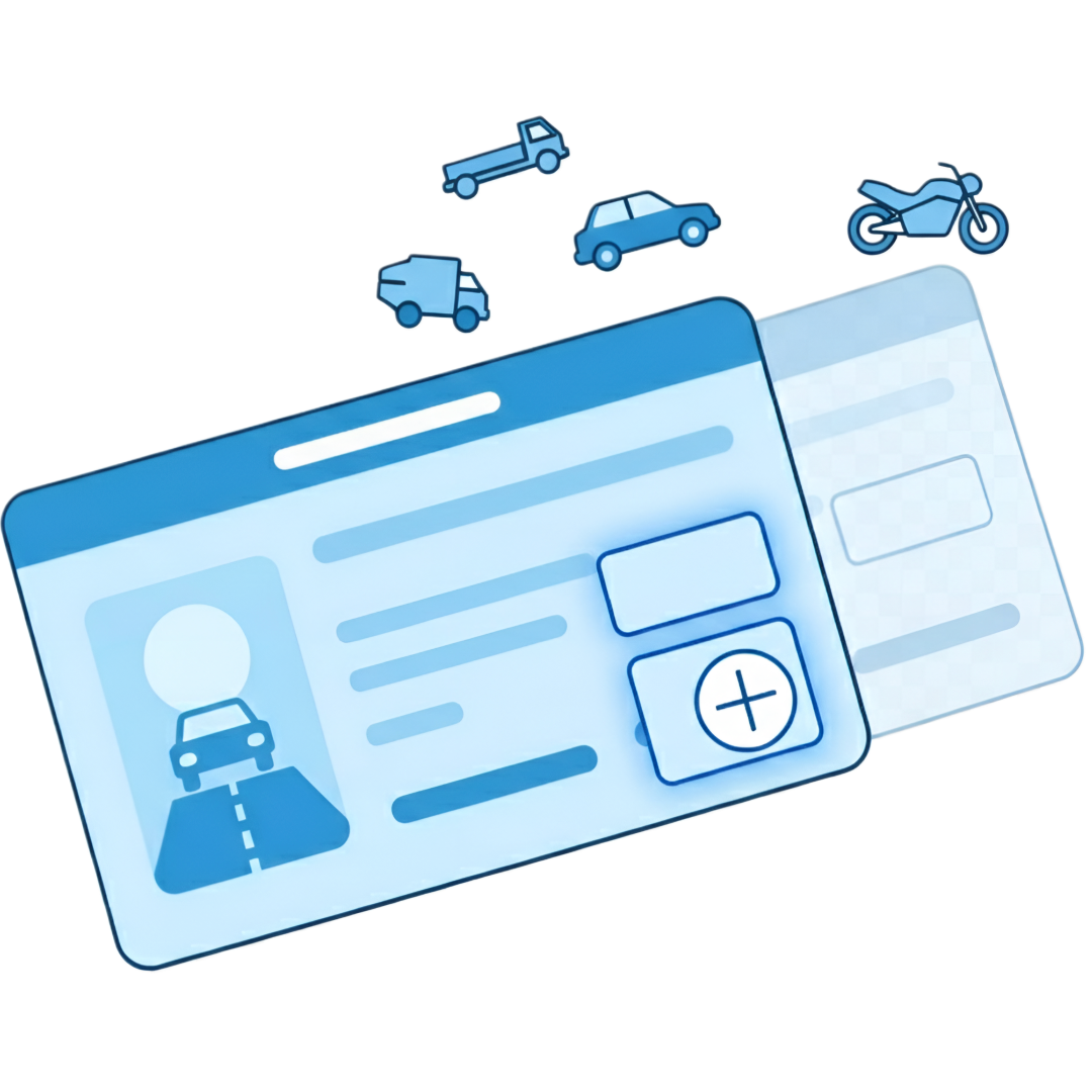 Licencia principiante